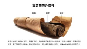 雪茄的内外结构是什么，雪茄的内外结构有哪些