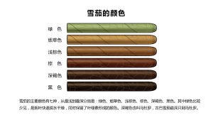雪茄的颜色分类有哪些，雪茄烟颜色