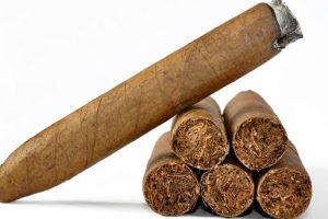 泰山都市丛林雪茄(泰山都市丛林雪茄尺寸)