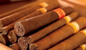 雪茄的香味之谜：揭秘十大香味种类