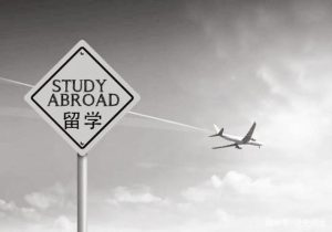 飞越国界！赴美中文教师的职业启示录！